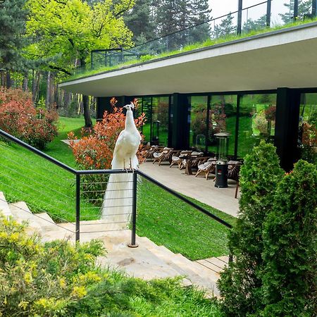 Bioli Wellness Resort Kojori Exterior photo