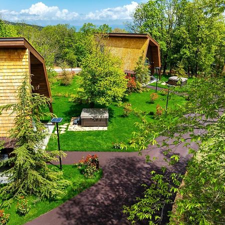 Bioli Wellness Resort Kojori Exterior photo